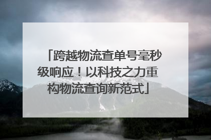 跨越物流查单号毫秒级响应！以科技之力重构物流查询新范式