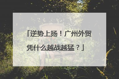 逆势上扬！广州外贸凭什么越战越猛？