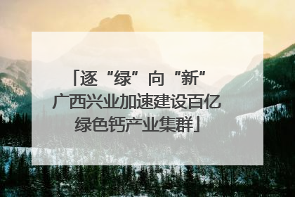 逐“绿”向“新” 广西兴业加速建设百亿绿色钙产业集群