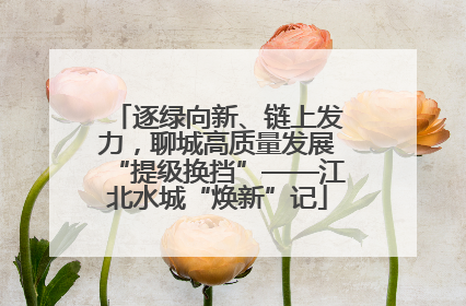 逐绿向新、链上发力，聊城高质量发展“提级换挡”——江北水城“焕新”记