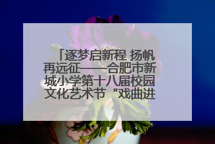 逐梦启新程 扬帆再远征——合肥市新城小学第十八届校园文化艺术节“戏曲进校园专场演出”