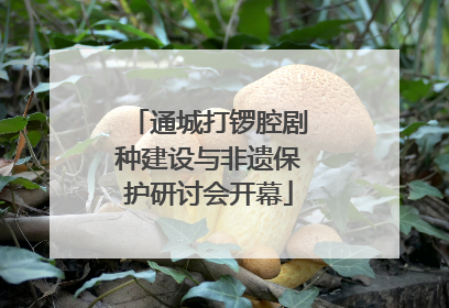 通城打锣腔剧种建设与非遗保护研讨会开幕