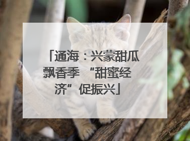 通海：兴蒙甜瓜飘香季 “甜蜜经济”促振兴