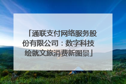 通联支付网络服务股份有限公司：数字科技绘就文旅消费新图景