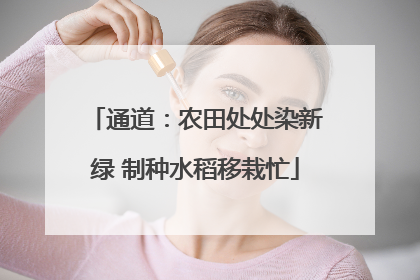 通道：农田处处染新绿 制种水稻移栽忙