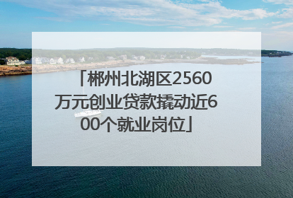 郴州北湖区2560万元创业贷款撬动近600个就业岗位