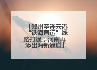 郑州至连云港“铁海直运”线路打通，河南再添出海新通道