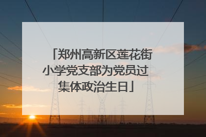 郑州高新区莲花街小学党支部为党员过集体政治生日