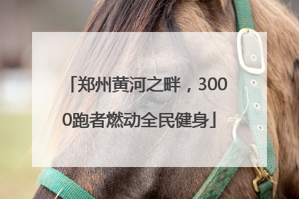 郑州黄河之畔，3000跑者燃动全民健身
