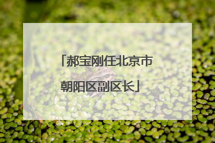 郝宝刚任北京市朝阳区副区长