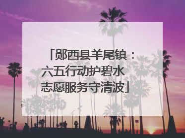 郧西县羊尾镇：六五行动护碧水 志愿服务守清波