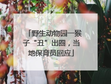 野生动物园一猴子“丑”出圈，当地保育员回应