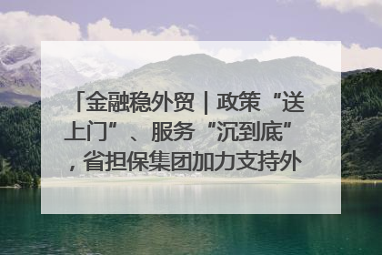 金融稳外贸｜政策“送上门”、服务“沉到底”，省担保集团加力支持外经贸高质量发展