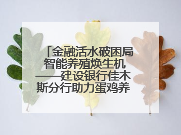 金融活水破困局 智能养殖焕生机——建设银行佳木斯分行助力蛋鸡养殖突围