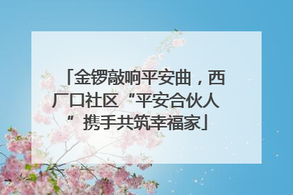 金锣敲响平安曲，西厂口社区“平安合伙人”携手共筑幸福家