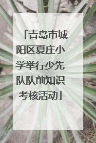 青岛市城阳区夏庄小学举行少先队队前知识考核活动