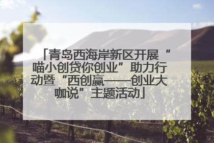 青岛西海岸新区开展“喵小创贷你创业”助力行动暨“西创赢——创业大咖说”主题活动