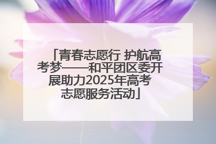 青春志愿行 护航高考梦——和平团区委开展助力2025年高考志愿服务活动
