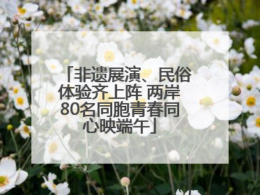 非遗展演、民俗体验齐上阵 两岸80名同胞青春同心映端午