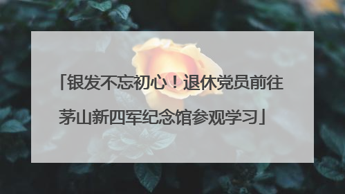 银发不忘初心！退休党员前往茅山新四军纪念馆参观学习