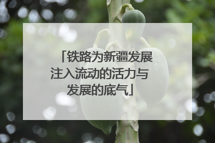 铁路为新疆发展注入流动的活力与发展的底气