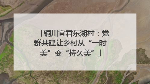 铜川宜君东湖村：党群共建让乡村从“一时美”变“持久美”