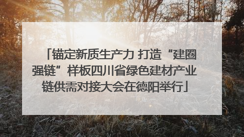 锚定新质生产力 打造“建圈强链”样板四川省绿色建材产业链供需对接大会在德阳举行