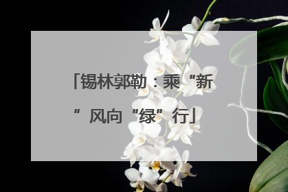 锡林郭勒：乘“新”风向“绿”行