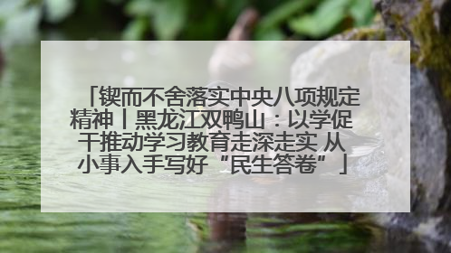 锲而不舍落实中央八项规定精神丨黑龙江双鸭山：以学促干推动学习教育走深走实 从小事入手写好“民生答卷”