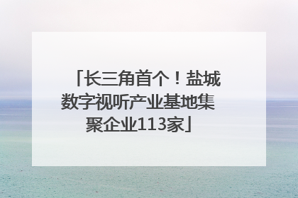 长三角首个！盐城数字视听产业基地集聚企业113家