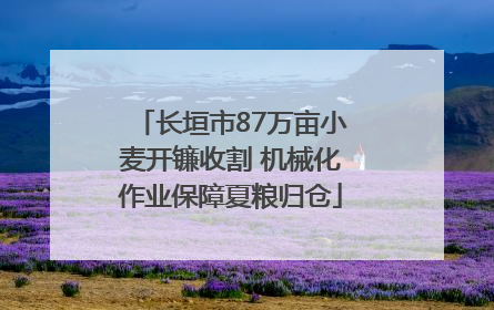 长垣市87万亩小麦开镰收割 机械化作业保障夏粮归仓