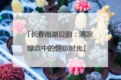 长春南湖夏韵：清凉绿意中的惬意时光