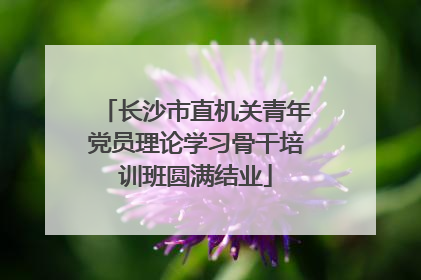 长沙市直机关青年党员理论学习骨干培训班圆满结业