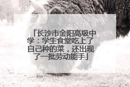 长沙市金阳高级中学：学生食堂吃上了自己种的菜，还出现了一批劳动能手