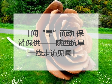 闻“旱”而动 保灌保供——陕西抗旱一线走访见闻
