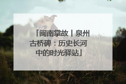 闽南掌故丨泉州古桥碑：历史长河中的时光驿站