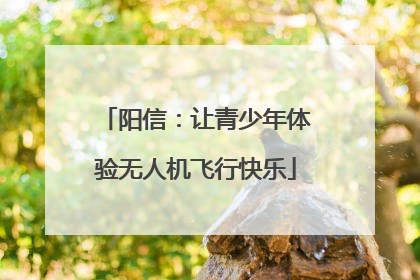 阳信：让青少年体验无人机飞行快乐