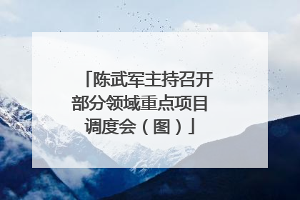 陈武军主持召开部分领域重点项目调度会（图）