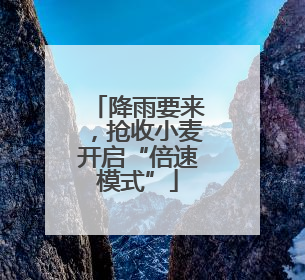 降雨要来，抢收小麦开启“倍速模式”