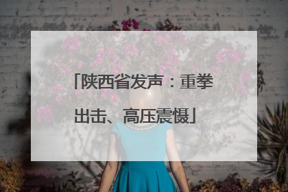 陕西省发声：重拳出击、高压震慑
