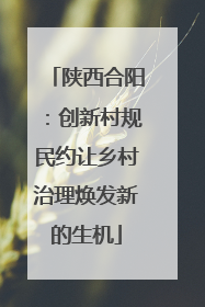 陕西合阳：创新村规民约让乡村治理焕发新的生机