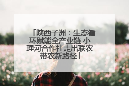 陕西子洲：生态循环赋能全产业链 小理河合作社走出联农带农新路径