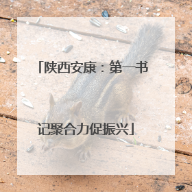 陕西安康：第一书记聚合力促振兴