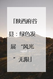 陕西府谷县：绿色发展 “风光”无限