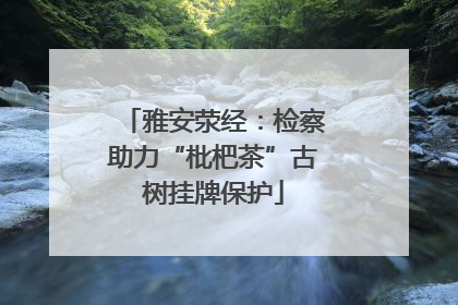 雅安荥经：检察助力“枇杷茶”古树挂牌保护