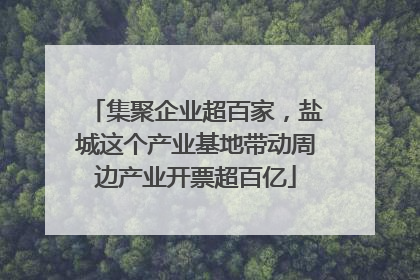 集聚企业超百家，盐城这个产业基地带动周边产业开票超百亿