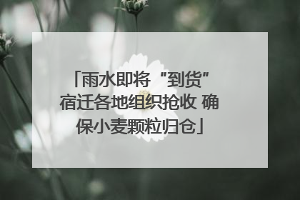 雨水即将“到货” 宿迁各地组织抢收 确保小麦颗粒归仓