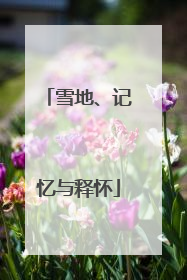雪地、记忆与释怀