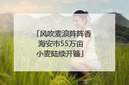 风吹麦浪阵阵香 海安市55万亩小麦陆续开镰