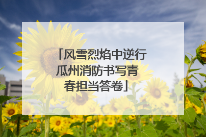 风雪烈焰中逆行 瓜州消防书写青春担当答卷